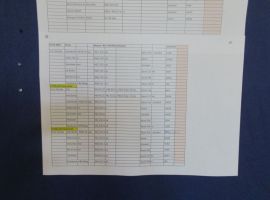 IMG_5867.JPG